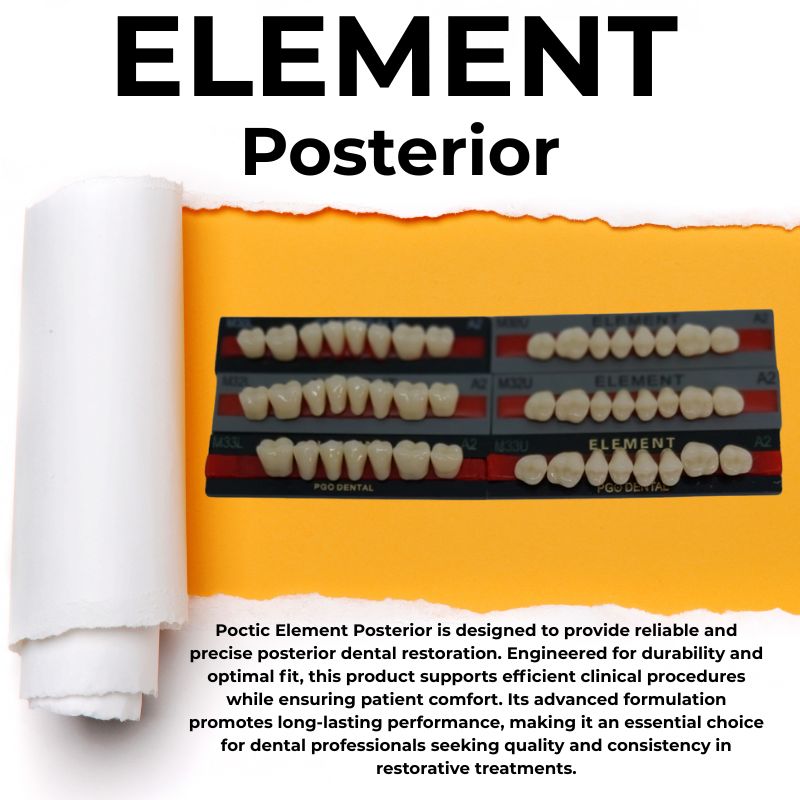 Poctic Element Posterior Poctic Element Posterior